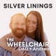 Silver Linings