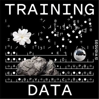 Training Data Training Data