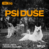 Psí duše - Rudolf Desenský, Datarun