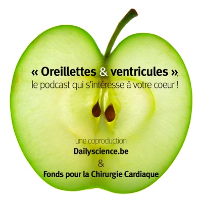 Oreillettes & Ventricules