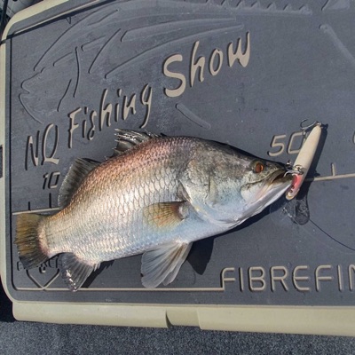 NQ Fishing Show Podcast NQ Fishing Show Podcast