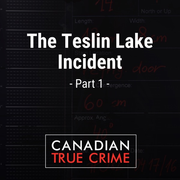 The Teslin Lake Incident [1] photo
