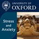 Stress and Anxiety