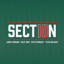 Section 10 cover art