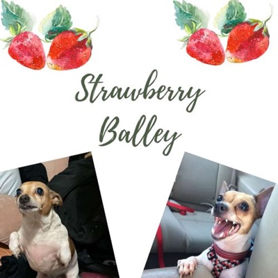 Strawberry Balley