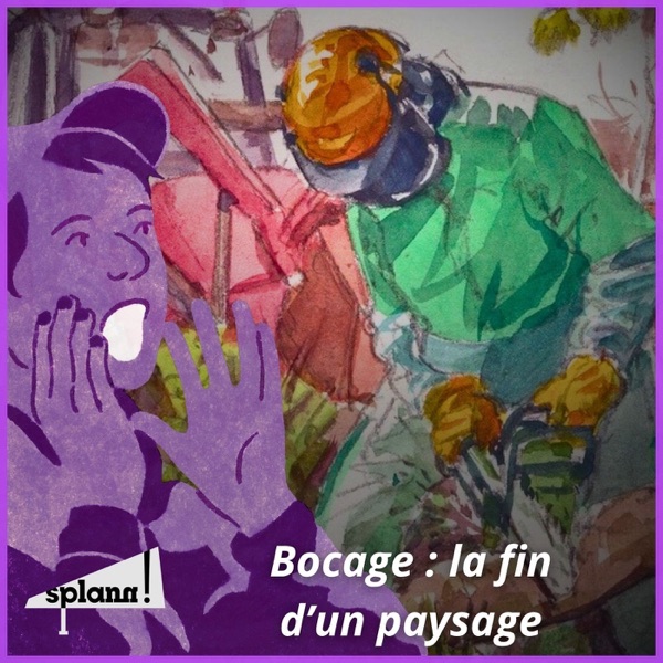 Bocage : les destructions de haies ont le champ libre #3 photo