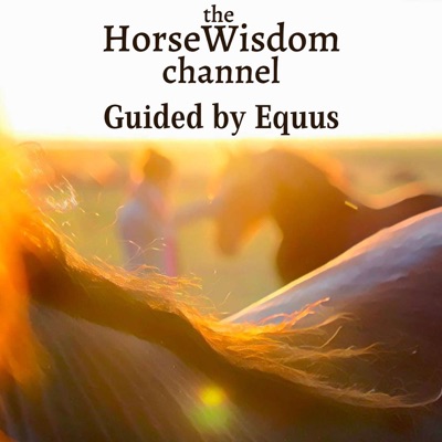 the HorseWisdom Channel Guided by Equus