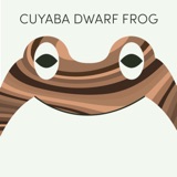 Cuyaba Dwarf Frog | Week of September 9th