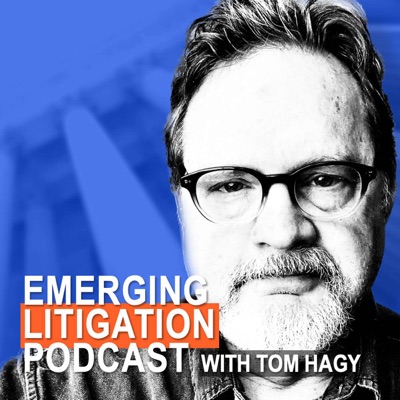 ESG Programs and the Lawyer's Role with Kai Gray