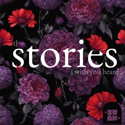 the stories i wish you heard