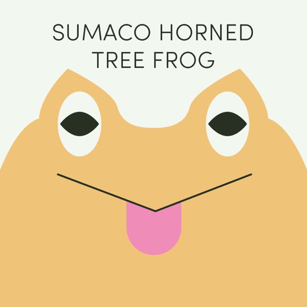 Sumaco Horned Tree Frog | Week of August 19th photo