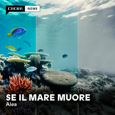 Ep.4 - Il pesce è finito