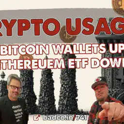Ep 741 - Crypto Usage: Bitcoin Wallets Up, Ethereum ETFs Down - Bad News for Sept 10, 2024