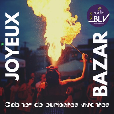 Joyeux Bazar Joyeux Bazar