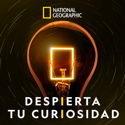 DESPIERTA TU CURIOSIDAD DESPIERTA TU CURIOSIDAD