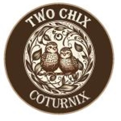 The Two Chix Guide to Spotting Scammers The Two Chix Guide to Spotting Scammers