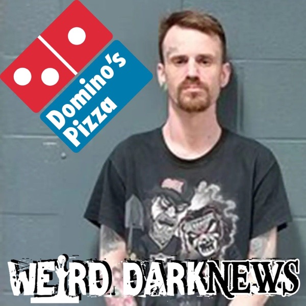 Domino's Driver Hits Customer With Car Over Missing Tip in Fulton photo