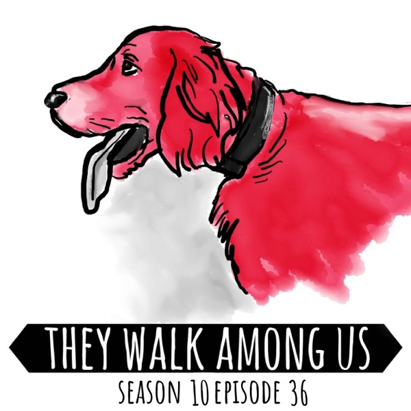 The Last Juvenile To Be Sentenced To Death / Ethel Corey / Harold Wilkins photo