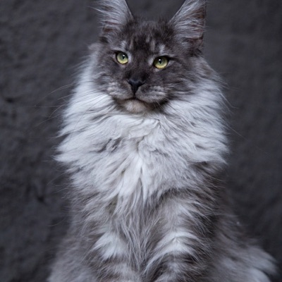 八方斋·睡前听 | 情感·八卦·婚恋