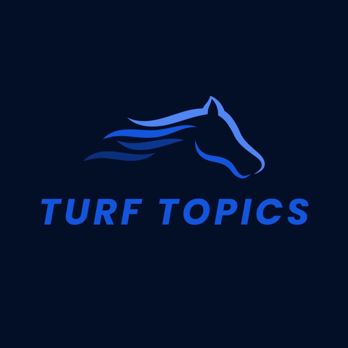 2024 Japan Cup Results and AccTurf Topics Apple Podcasts