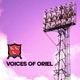 Dundalk FC: Voices of Oriel