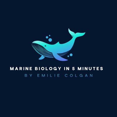 Marine Biology in 5 Minutes Marine Biology in 5 Minutes