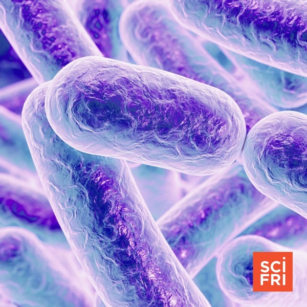 How Do Bacteria Talk To Each Other? photo