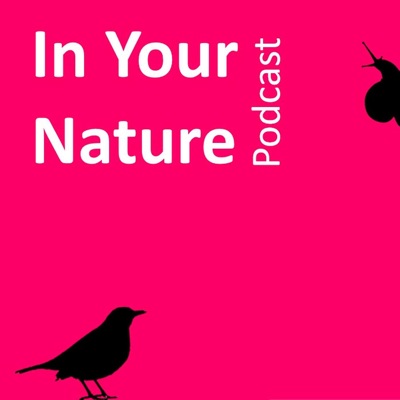 In Your Nature:By BirdWatch Ireland