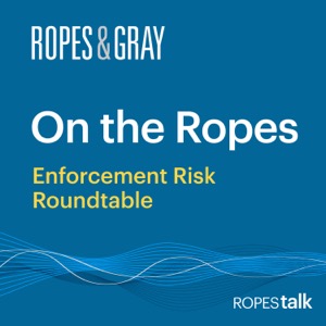 On the Ropes: Enforcement Risk Roundtable