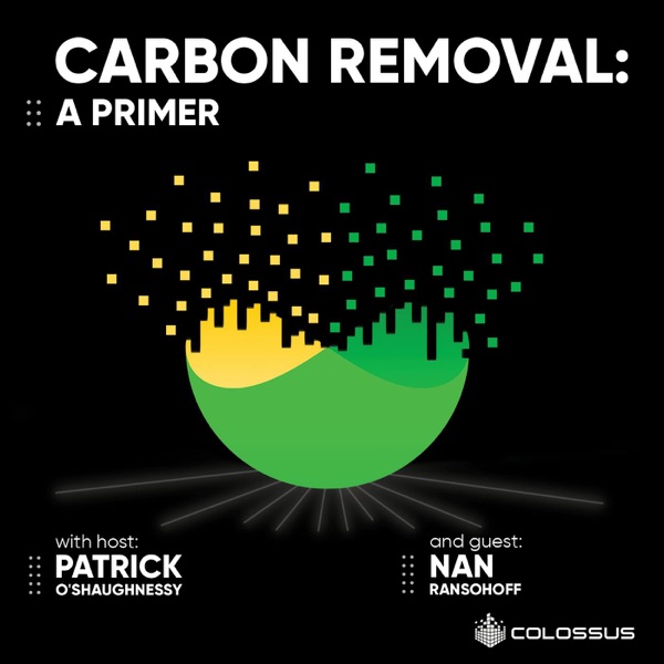Carbon Removal: A Primer