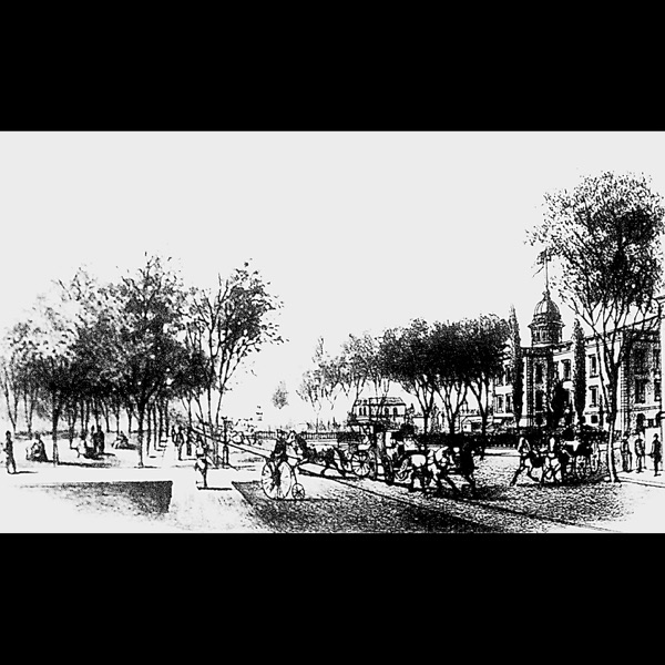 Pioneering “lady lawyer” deserved a better legacy photo