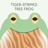 Tiger-striped Tree Frog | Week of April 10th