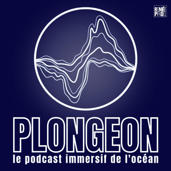 Couverture Plongeon