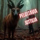 Venäläisen Metsänvartijan Pelottavia Kokemuksia Creepypasta