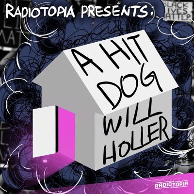 a hit dog will holler:Radiotopia