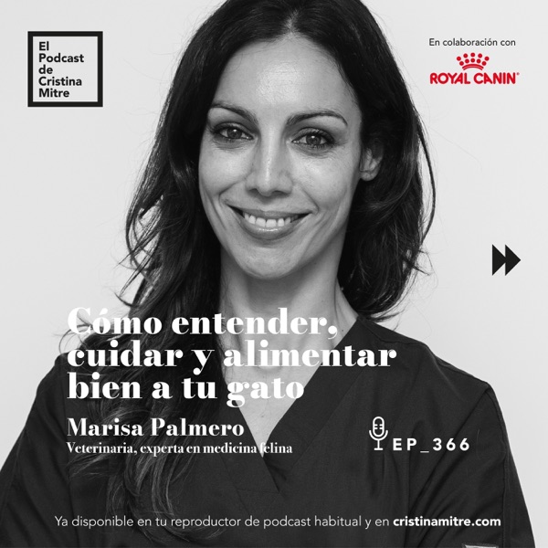 Cómo entender, cuidar y alimentar bien a tu gato, con Marisa Palmero. Episodio 366 photo