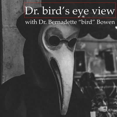 Dr. bird's eye view