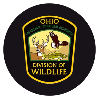 WildOhio WildOhio
