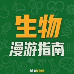 AI的时代来了，这次是诺奖说的 | 读懂 2024诺奖