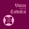 Voices from the Cathedral podcast cover