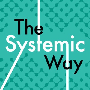 The Systemic Way