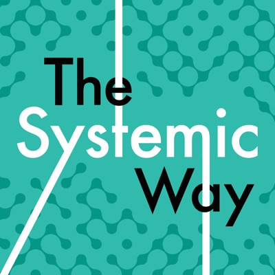 The Systemic Way:Sezer and Julie