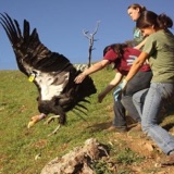 Bringing Condor Home