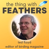 62: Ted Floyd on Bushtits, eBird, and Birding Magazine