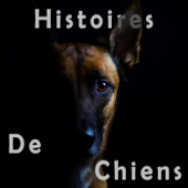 Histoires de Chiens