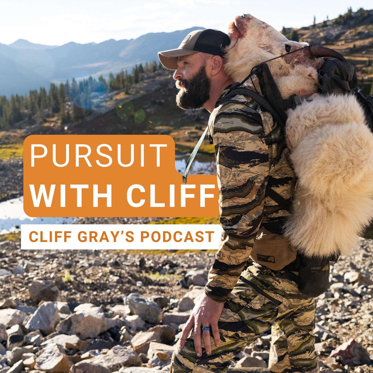 podcasts.apple.com