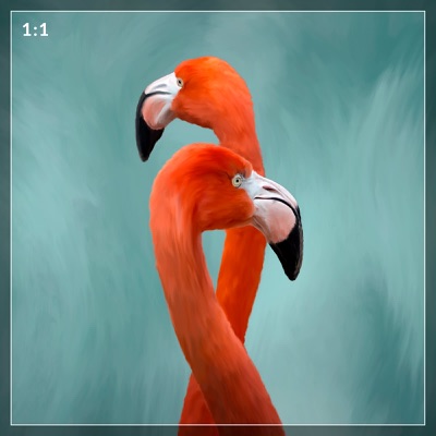 Test Podcast 1766137426762