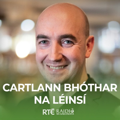 Cartlann Bhóthar na Léinsí Cartlann Bhóthar na Léinsí