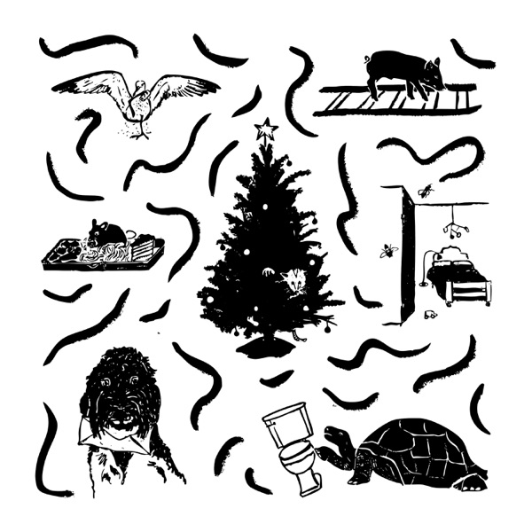 Turtle vs. Toilet, a Monster in the Closet, and a Surprise Possum photo