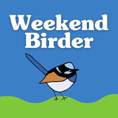 Weekend Birder